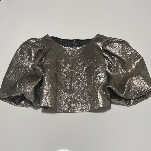 Zara Metallic Crop Top - Picture 7 of 9